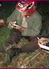 Laga kambing