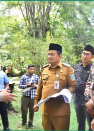 Wali Kota Maulana