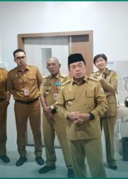 Gubernur Al Haris